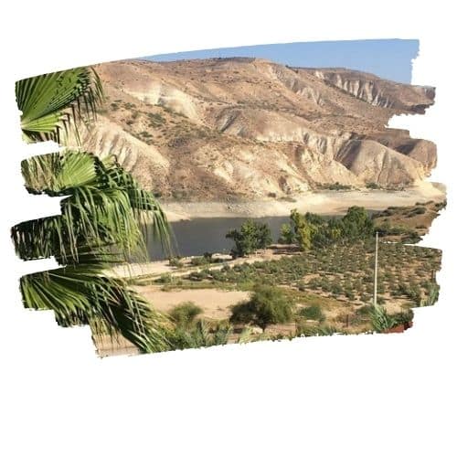 اربد